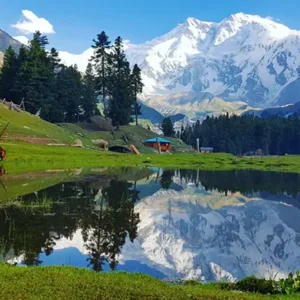 Fairy Meadows
